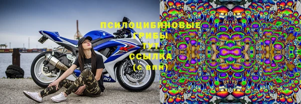 стаф Вязники