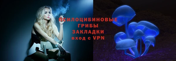 стаф Вязники