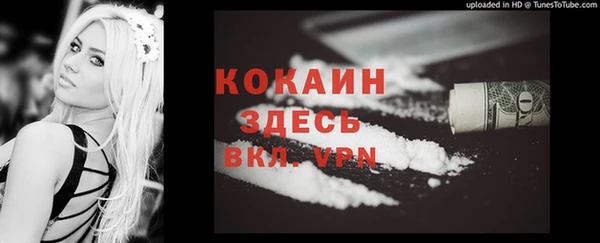 винт Вяземский