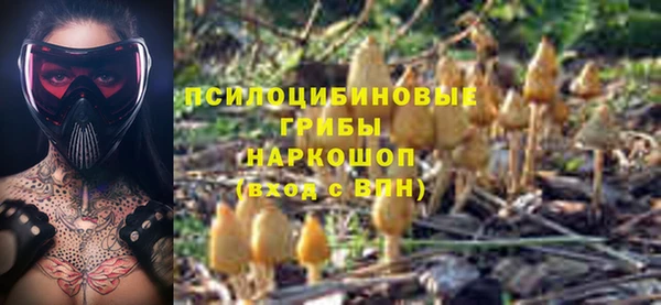 винт Вяземский