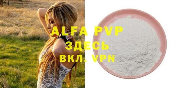 винт Вяземский