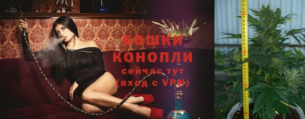 винт Вяземский