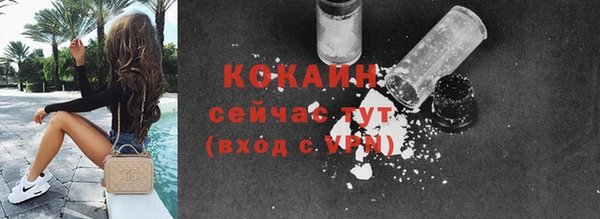 винт Вяземский