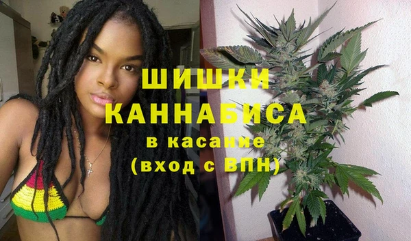 стаф Вязники