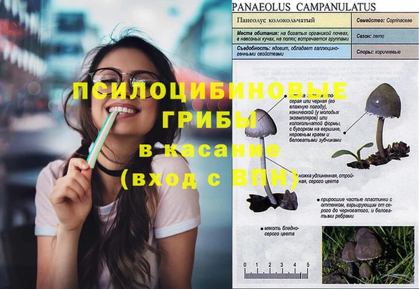 винт Вяземский