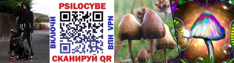 Купить где  Кудымкар  Галлюциногенные грибы Psilocybine cubensis 